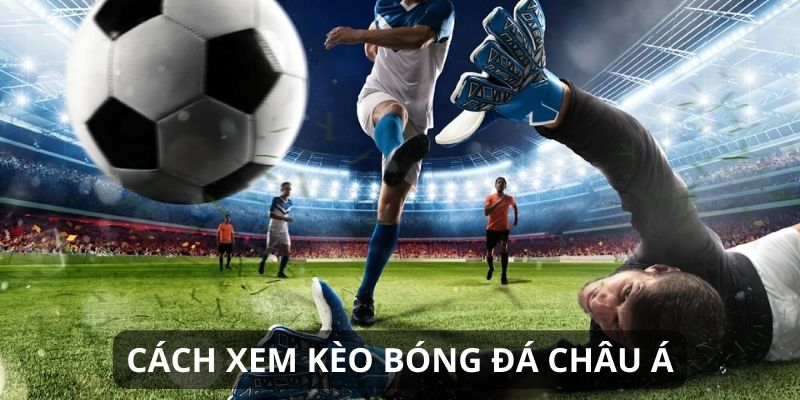 Cách xem những tỷ lệ cược châu Á